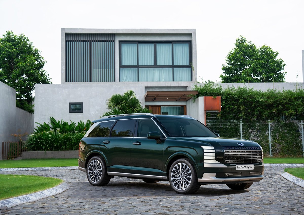 Palisade Hybrid màu xanh đậm trên nền sân đá